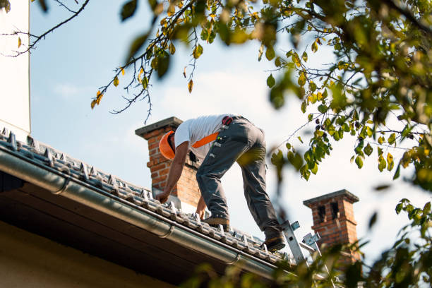 Best Roof Gutter Cleaning  in Grand Marais, MN