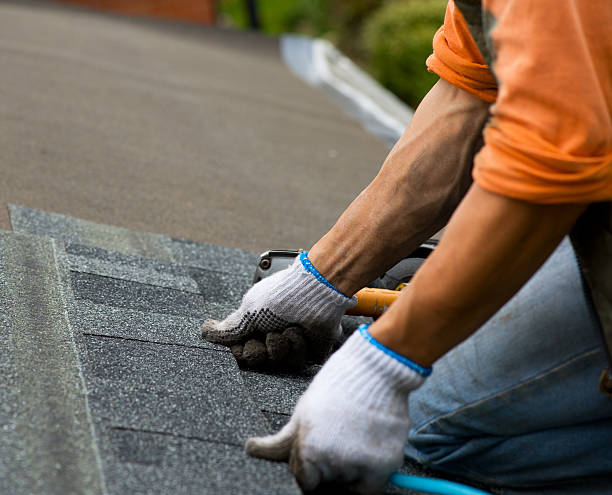 Best Storm Damage Roof Repair  in Grand Marais, MN