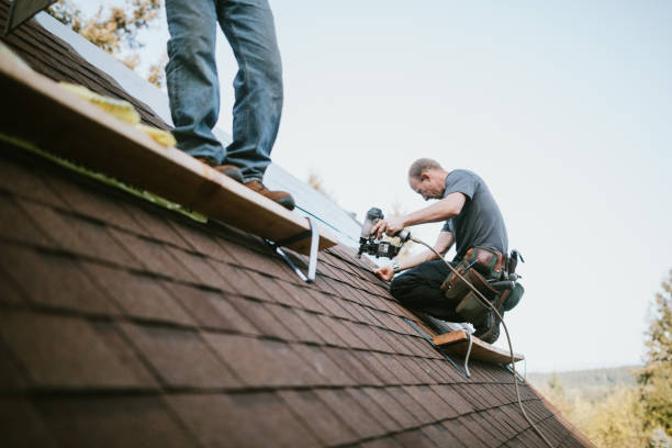 Quick and Trustworthy Emergency Roof Repair Services in Grand Marais, MN